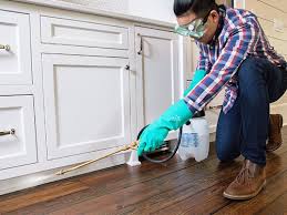 Real Estate Pest Inspections in Fairbury, NE